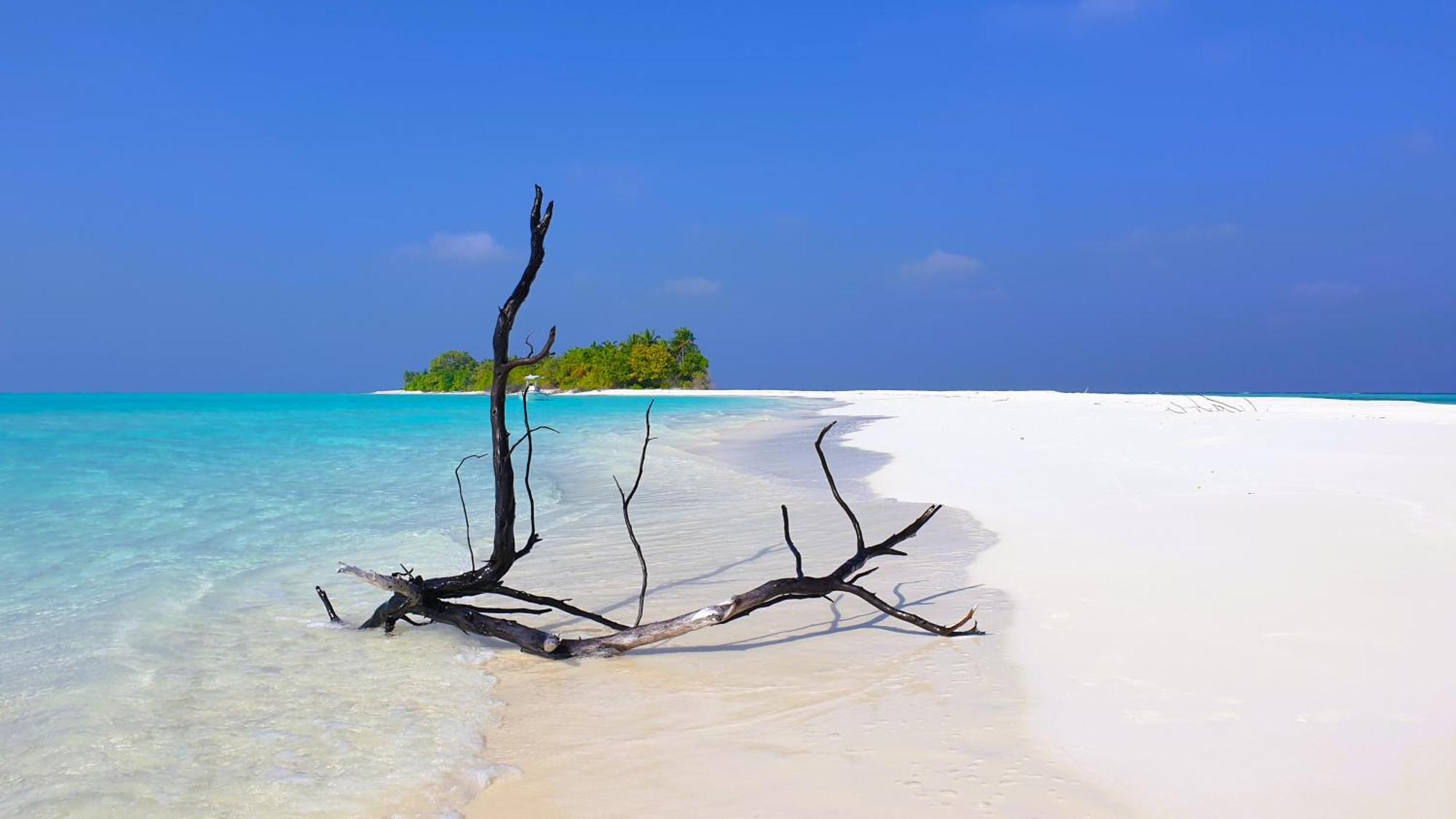 The Fulhadhoo Beach Cottage Bagian luar foto