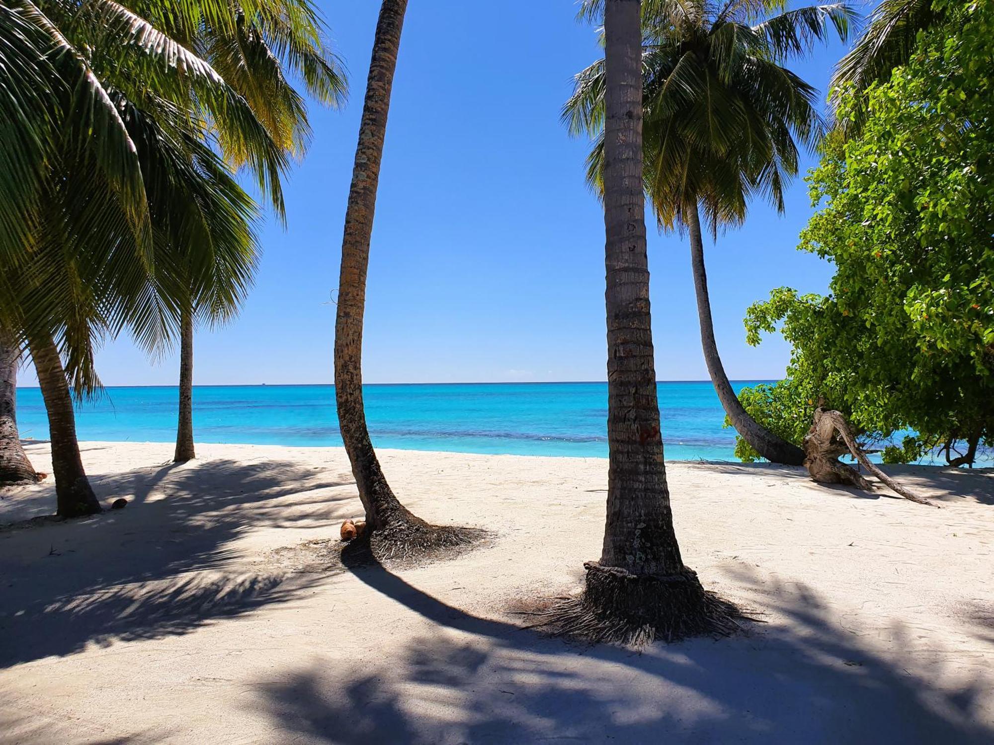 The Fulhadhoo Beach Cottage Bagian luar foto